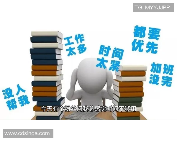 am和vs哪个更好选择适合自己的工具提升工作效率的关键分析 am和vs哪个更好选择适合自己的工具提升工作效率的关键分析