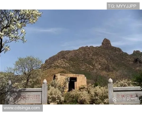 恩比与金字塔的较量探秘历史与文化的交汇点