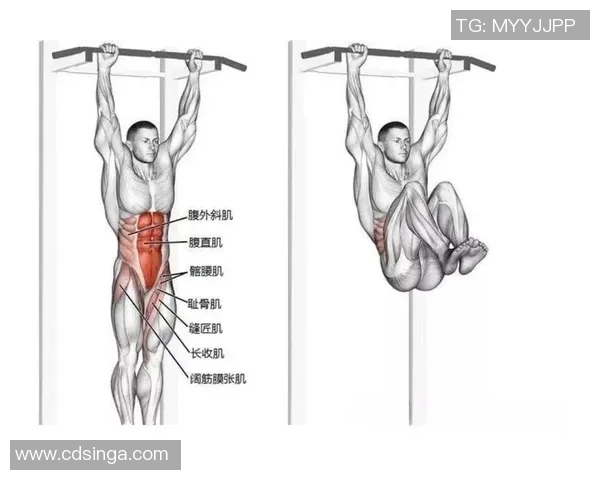 哑铃训练腹肌的有效方法与技巧分享助你塑造完美腹部线条